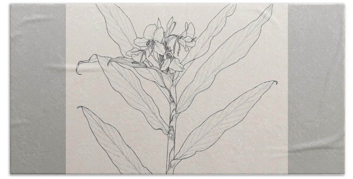 Botanical Illustration Hand Towel featuring the drawing White Ginger by Judith Kunzle