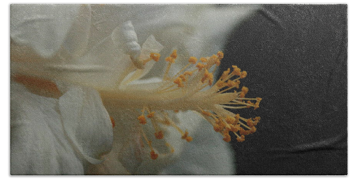 White Hibiscus Hand Towel featuring the photograph White Hibiscus by Jennifer Bright Burr