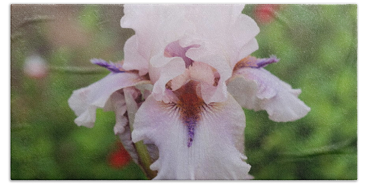 Iris Hand Towel featuring the photograph White Iris by James Smullins