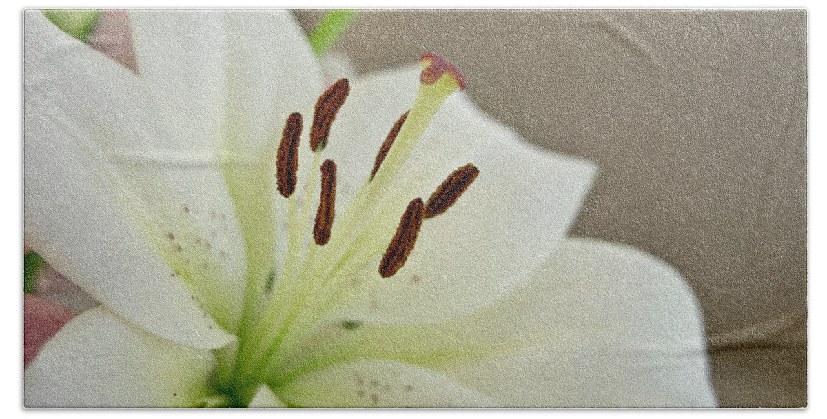Trinity Bath Towel featuring the photograph White Lily 4 by Elena Perelman