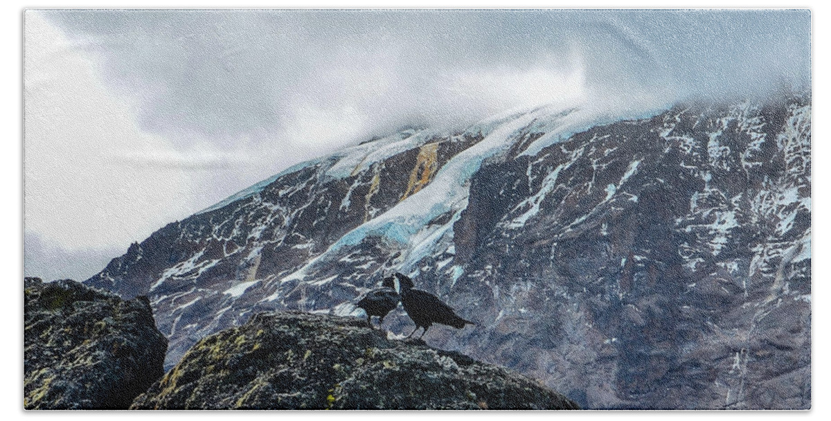 Africa Bath Towel featuring the photograph White-Necked Raven Pair under Kilimanjaro Summit Glacier by Jeff at JSJ Photography