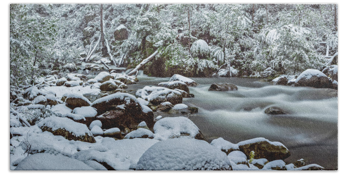 Winter Bath Towel featuring the photograph White on Green by Mark Lucey