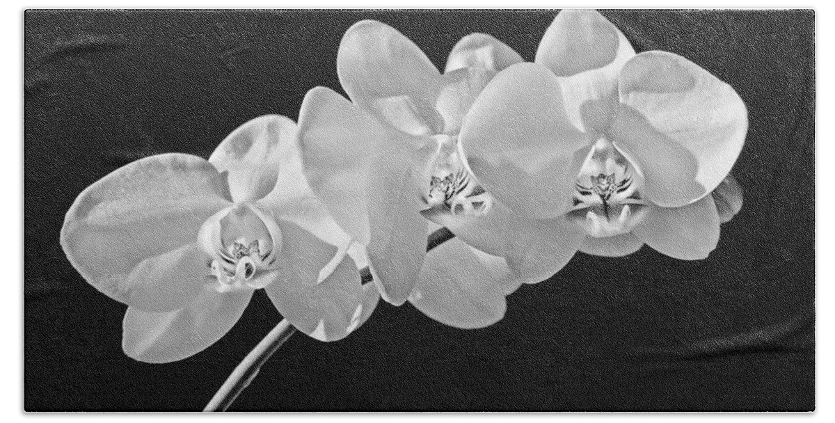 Orchid Hand Towel featuring the photograph White Orchid Flowers Black and White by Jennie Marie Schell