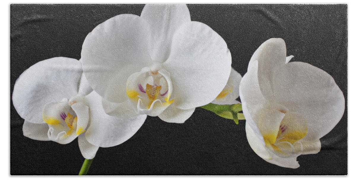 Beautiful Bath Towel featuring the photograph White orchid by Garry Gay