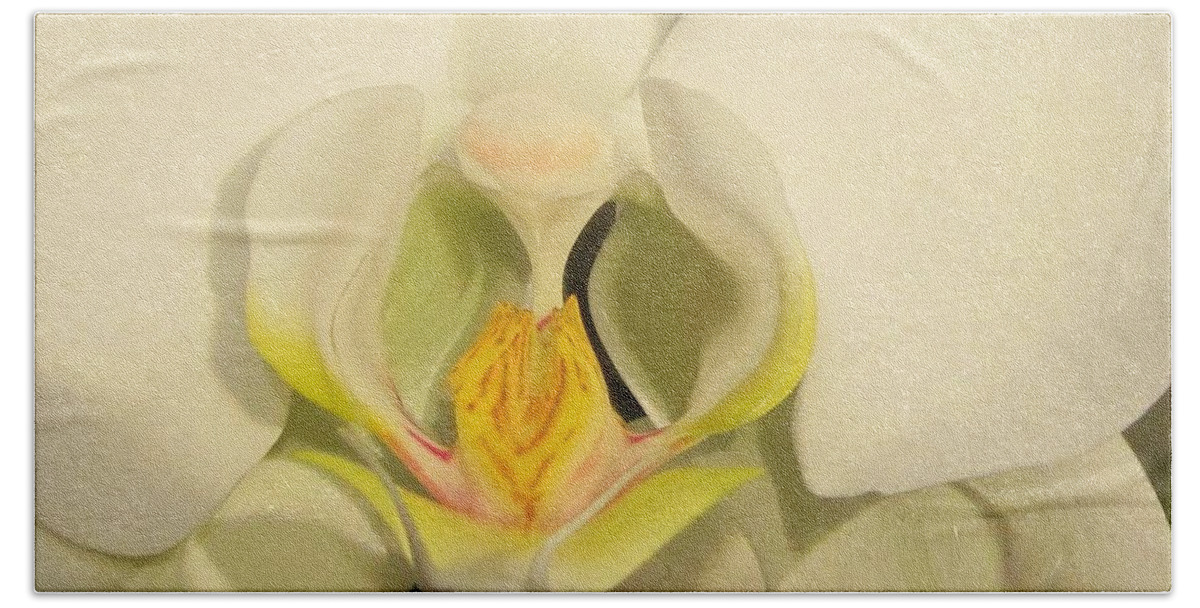 Photography Bath Towel featuring the photograph White Orchid by Kathie Chicoine