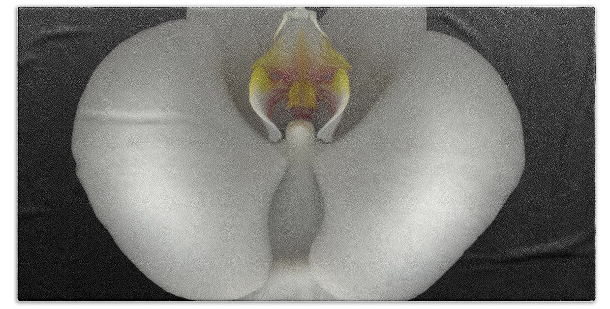  Bath Towel featuring the photograph White Orchid on Black by Heather Kirk