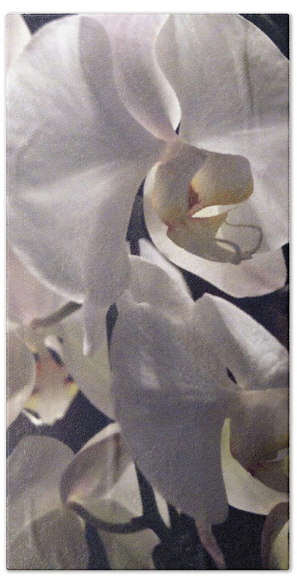 Orchid Hand Towel featuring the photograph White Orchid Portrait by Margie Avellino
