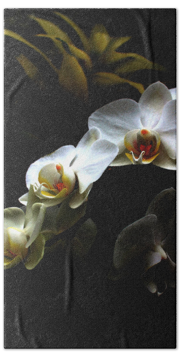 White Orchid On Black Bath Towel featuring the photograph White orchid with dark background by Jasna Buncic