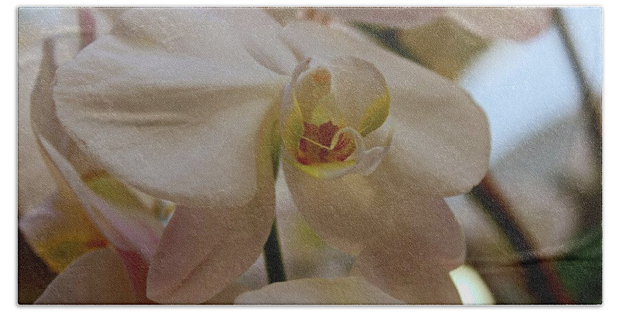 Orchid Bath Towel featuring the photograph White Peabody Orchid II by Michiale Schneider