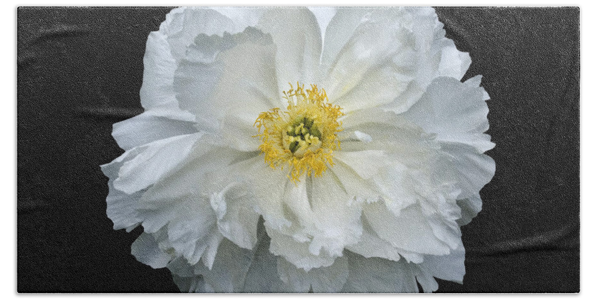 Peonies Bath Towel featuring the photograph White Peony by Charles Harden