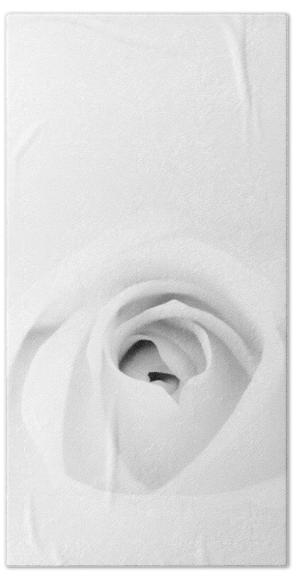 White Hand Towel featuring the photograph White Rose by Scott Norris