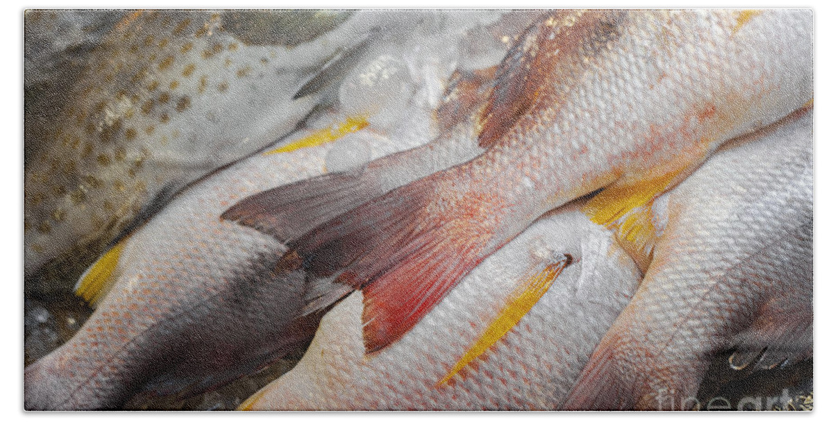 Thai Bath Towel featuring the photograph White snapper fish by Sophie McAulay