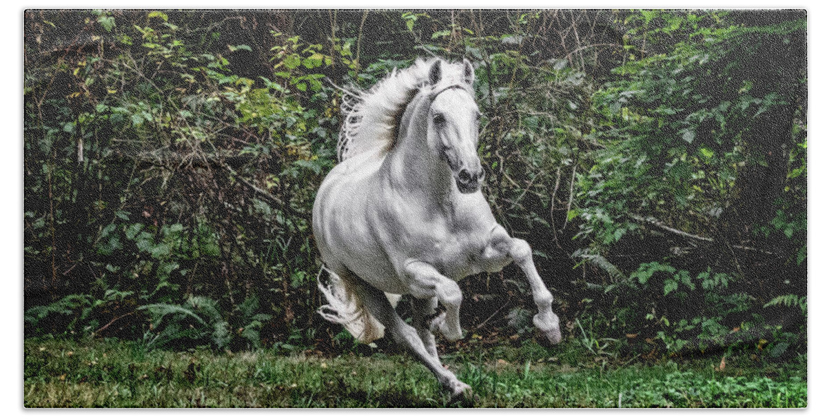 White Stallion Bath Towel featuring the photograph White Stallion by Wes and Dotty Weber