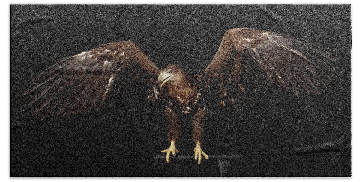 Eagle Bath Towel featuring the photograph White-tailed Eagle by Sergey Taran