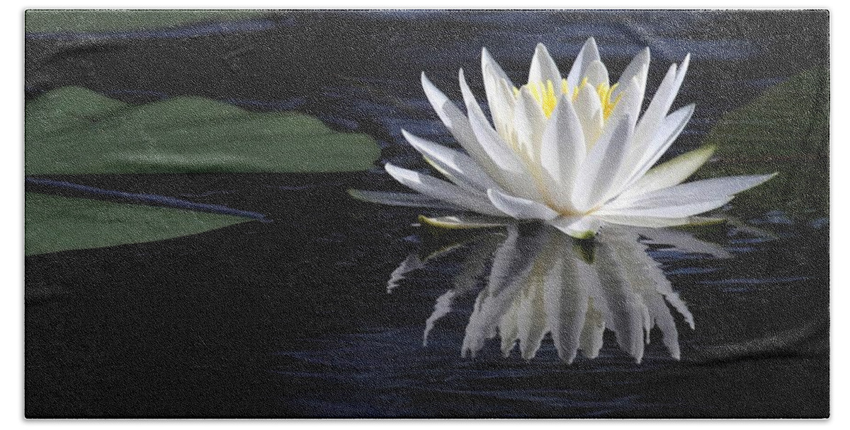 Water Lily Bath Towel featuring the photograph White Water Lily by Sabrina L Ryan