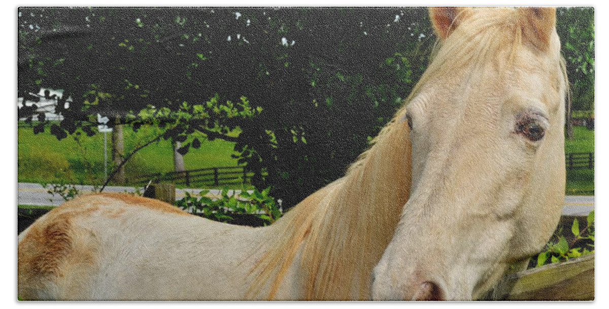 Horse Bath Towel featuring the photograph Whitey by Eileen Brymer