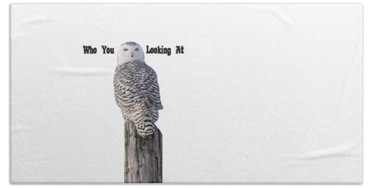 Snowy Owl Bath Towel featuring the photograph Who You Looking At by Thomas Young