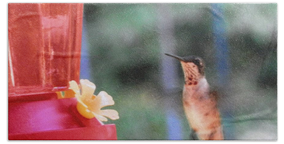 #time To #enjoy The #nectar Of #god My #hummingbird #friend #red #yellow #hungry Bath Towel featuring the photograph WHOA Hummingbird by Belinda Lee