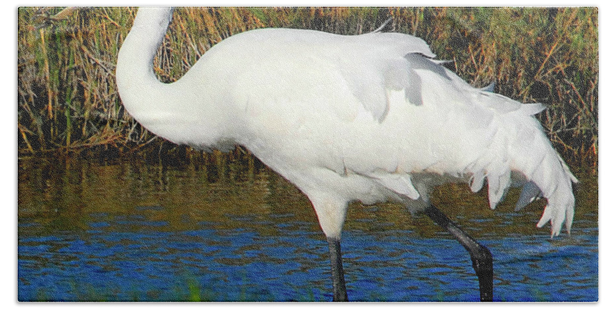 Whooping Bath Towel featuring the photograph Whooping Crane by Ted Keller
