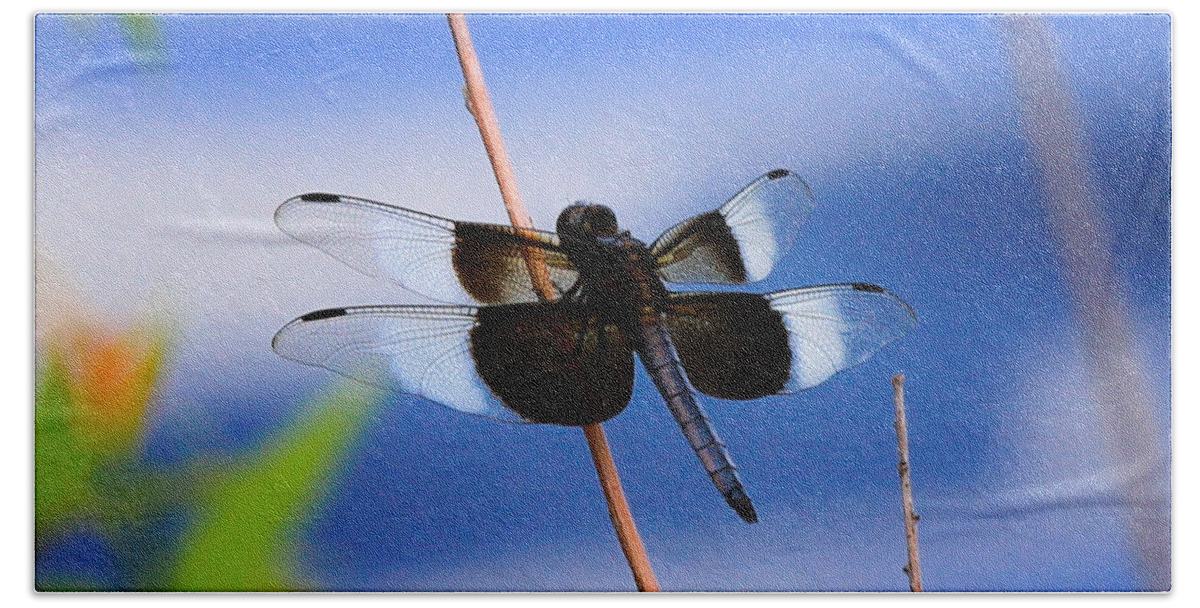 Widow Skimmer Dragonfly Bath Sheet featuring the photograph Widow Skimmer Dragonfly by Juli Ellen