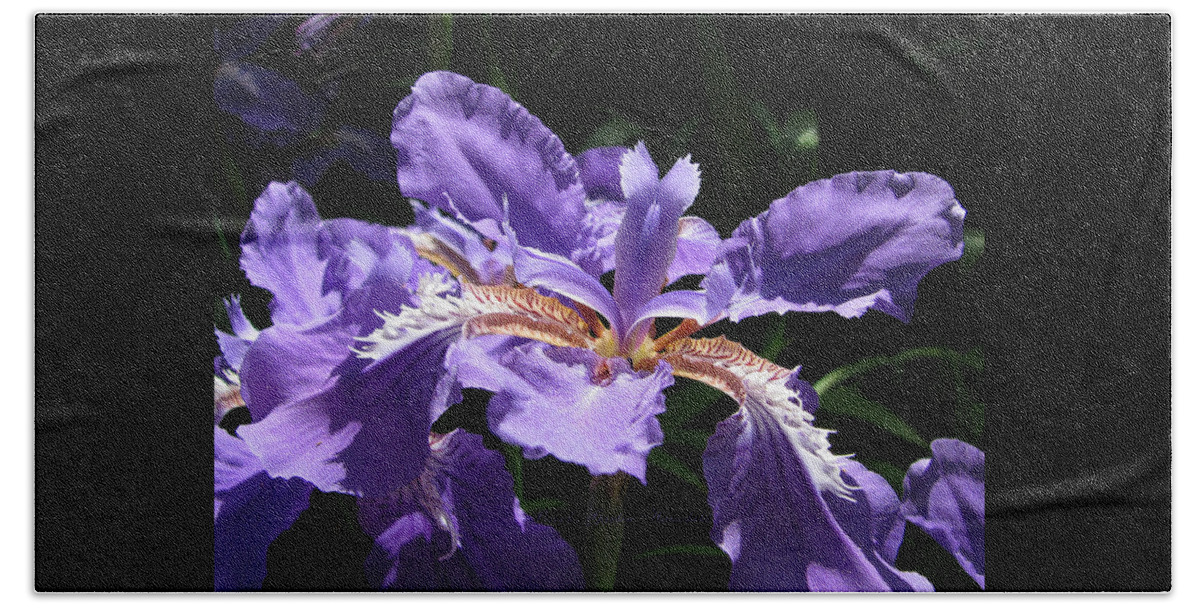 Iris Hand Towel featuring the photograph Wild About Iris - Purple Flowers - Iris Photographic Art by Brooks Garten Hauschild