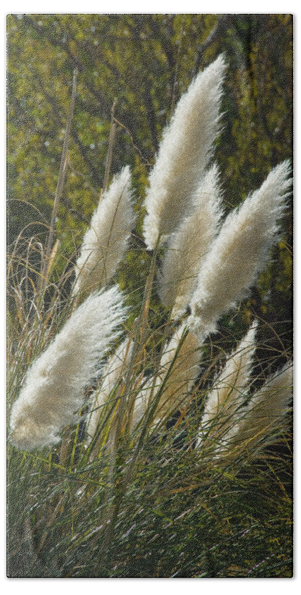 Zion National Park Bath Towel featuring the photograph Wild Grasses by Harry Spitz