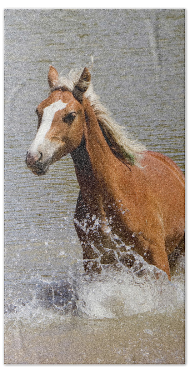 Wild Horse Bath Towel featuring the photograph Wild Horse Splashing at the Water Hole by Mark Miller