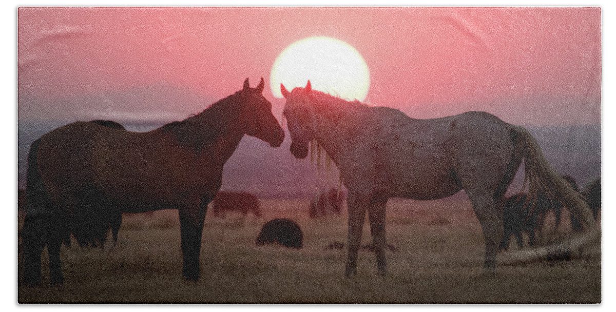 Wild Horse Bath Towel featuring the photograph Wild Horse Sunset by Wesley Aston