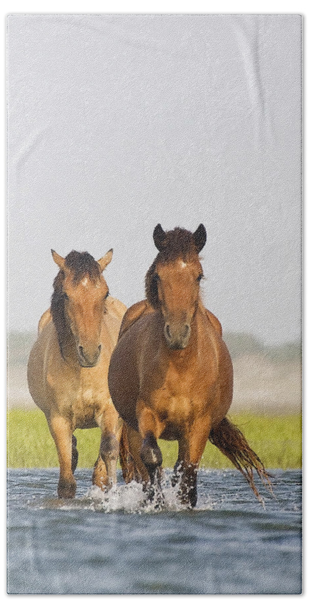 Wild Bath Towel featuring the photograph Wild Horses by Bob Decker