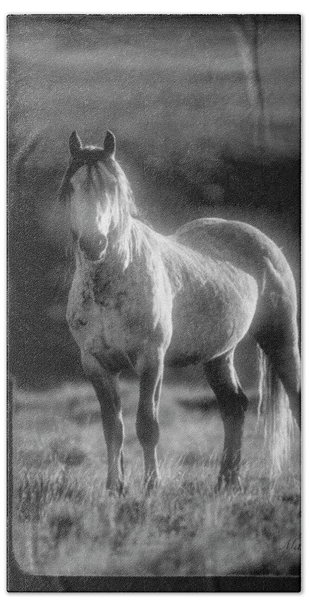 Mark Miller Photos Bath Towel featuring the photograph Wild Wyoming Horse Encounter by Mark Miller