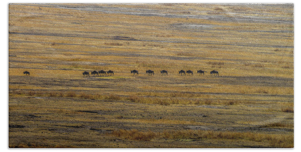 Africa Bath Towel featuring the photograph Wildebeest at Ngorongoro by Marilyn Burton