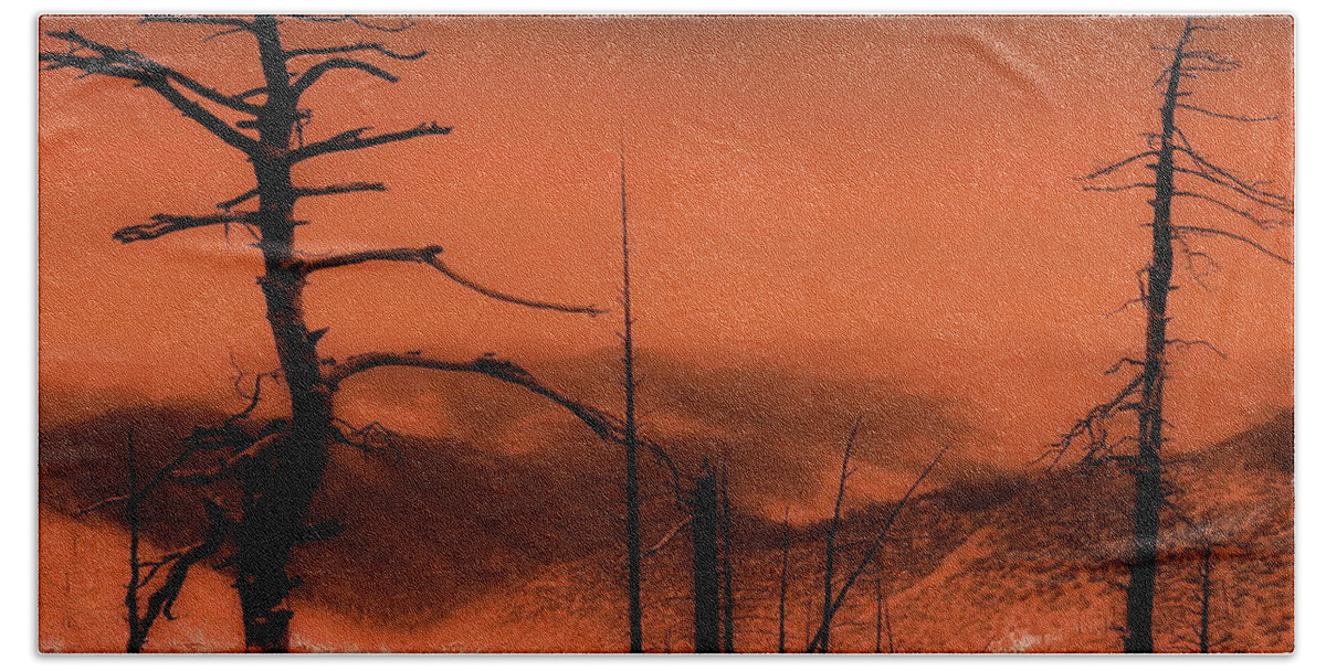 Digital Altered Photo Hand Towel featuring the photograph Wilderness of Desolation by Tim Richards