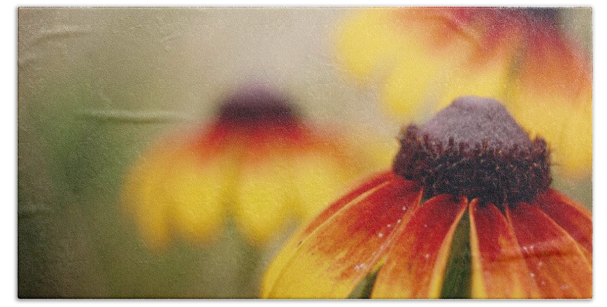 Wildflowers Bath Towel featuring the photograph Wildfire Wildflowers by Holly Ross