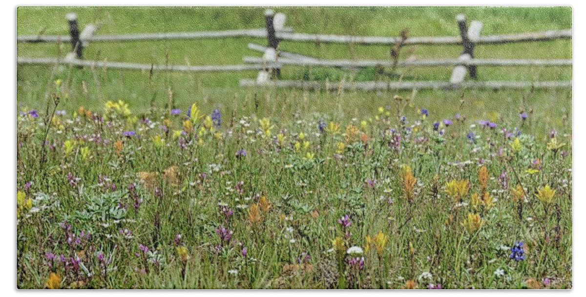 Meadow Bath Towel featuring the photograph Wildflower fence by Gaelyn Olmsted