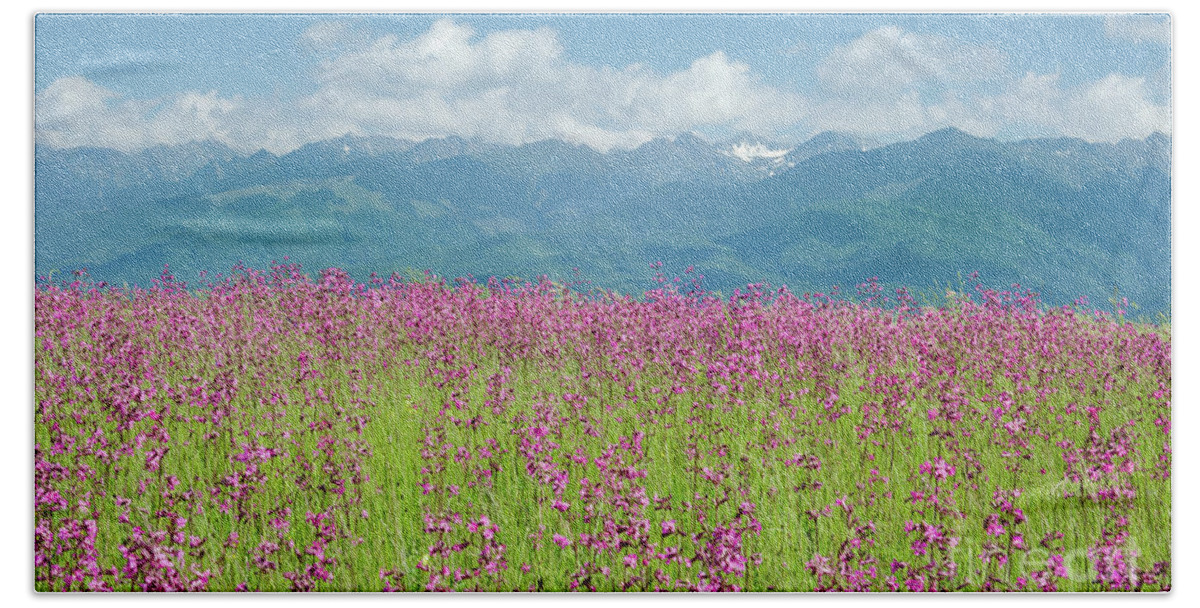 Farm Bath Towel featuring the photograph Wildflower Meadows and the Carpathian Mountains, Romania by Perry Rodriguez