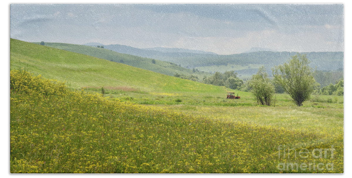Farm Bath Towel featuring the photograph Wildflower Meadows, Transylvania by Perry Rodriguez