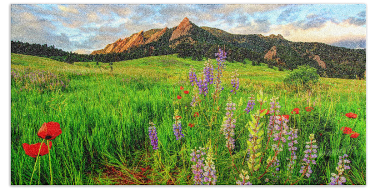 Wildflowers Hand Towel featuring the photograph Wildflower Mix by Scott Mahon