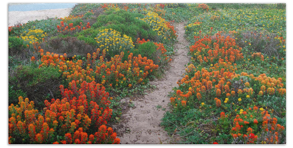 Wildflower Hand Towel featuring the photograph Wildflower Path at Ribera Beach by Charlene Mitchell