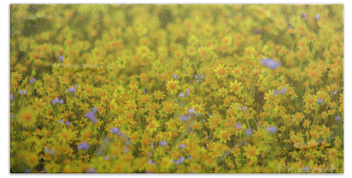 Photography Bath Towel featuring the photograph Wildflower Superbloom 4 by Daniel Knighton