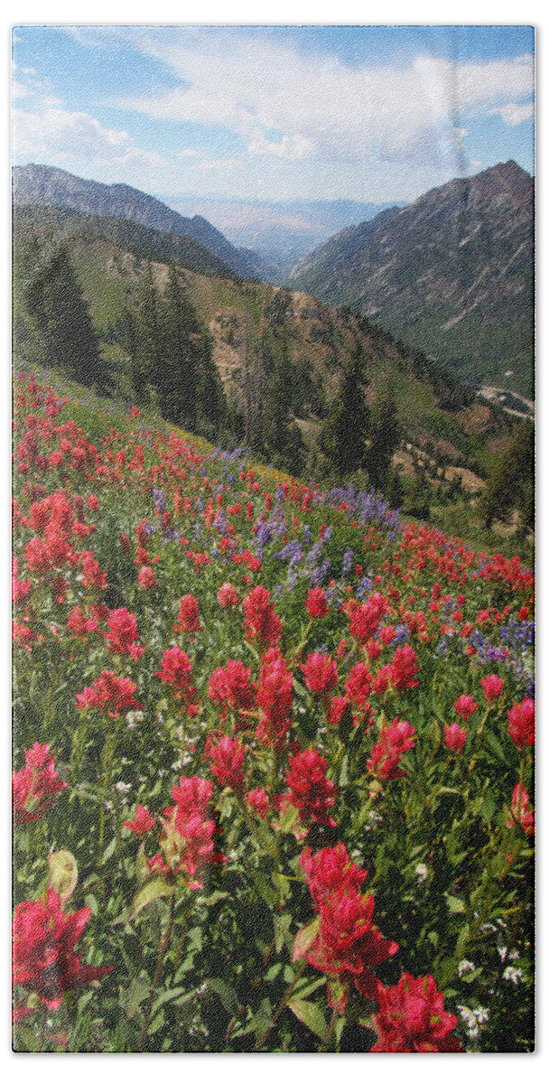 Landscape Bath Towel featuring the photograph Wildflowers and View Down Canyon by Brett Pelletier