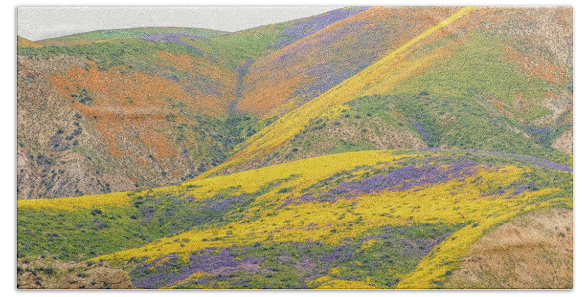 California Hand Towel featuring the photograph Wildflowers at the Summit by Marc Crumpler