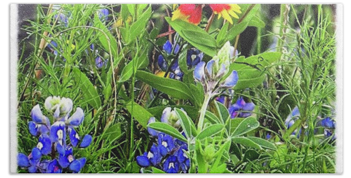 Sxsw Bath Towel featuring the photograph #wildflowers, #springtime, And #sxsw - by Austin Tuxedo Cat