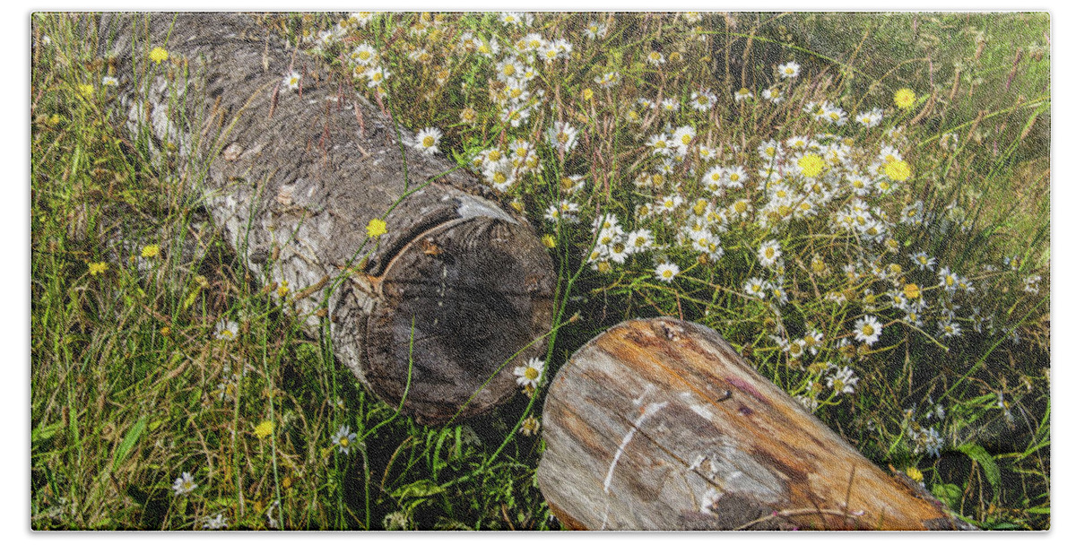 Bark Hand Towel featuring the photograph Wildflowers with Logs by Roslyn Wilkins