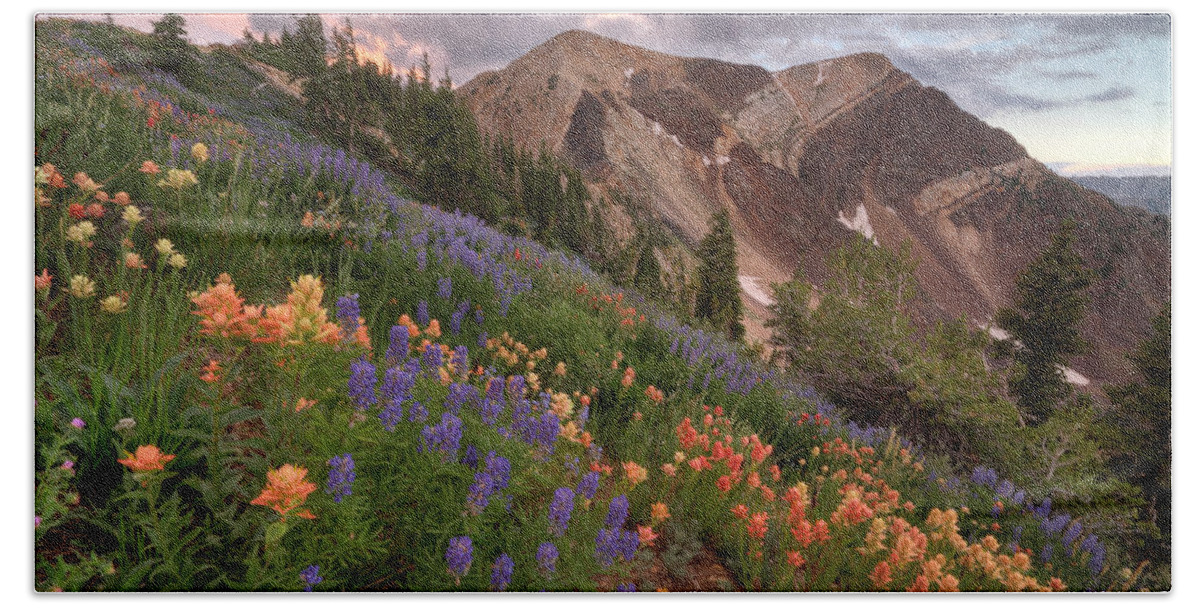 Landscape Bath Towel featuring the photograph Wildflowers with Twin Peaks at Sunset by Brett Pelletier