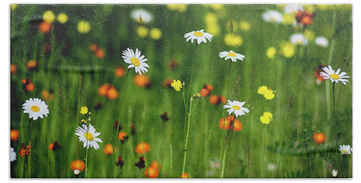  Bath Towel featuring the photograph Wildflowers2 by Dan Hefle
