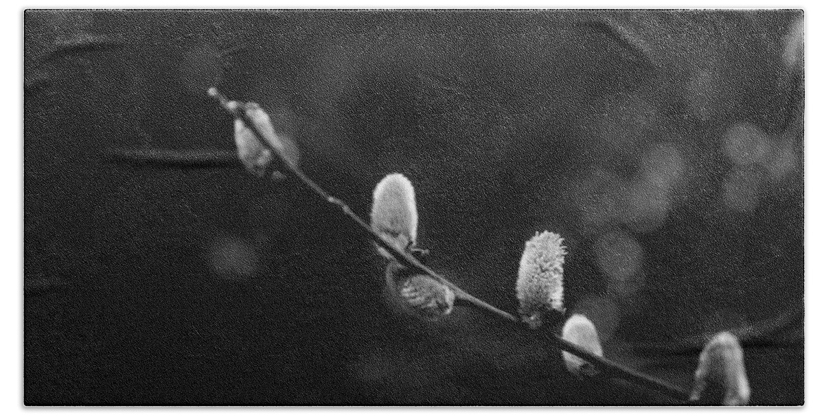 Willow Catkin Hand Towel featuring the photograph Willow Catkin - Bw by Andreas Levi
