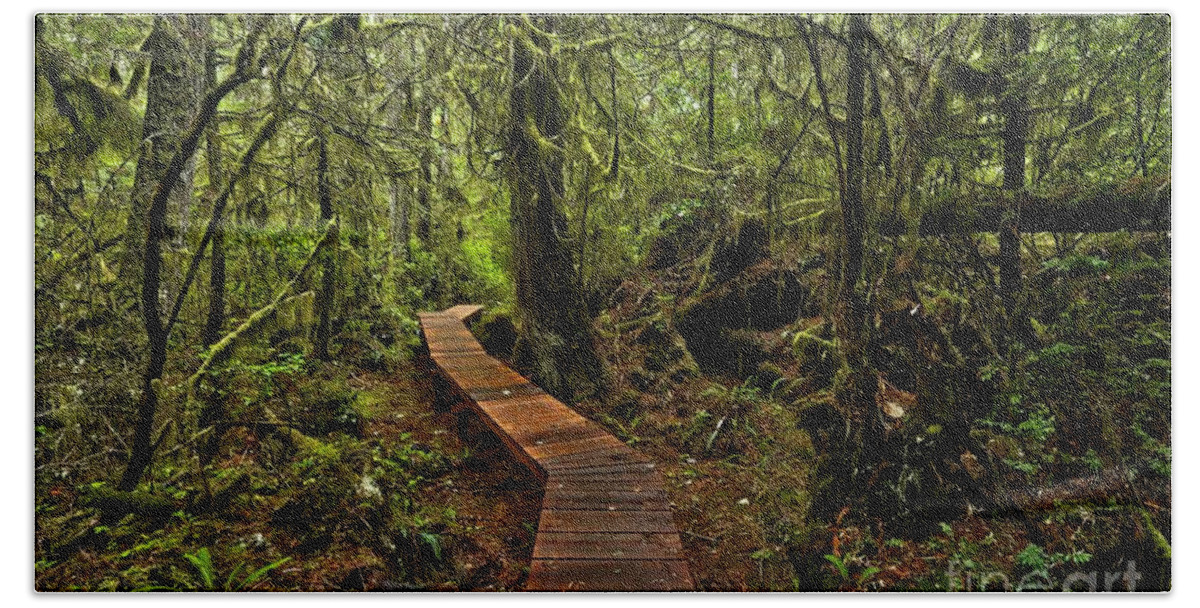 Willowbrae Bath Towel featuring the photograph Willowbrae Rainforest Hiking Trail by Adam Jewell