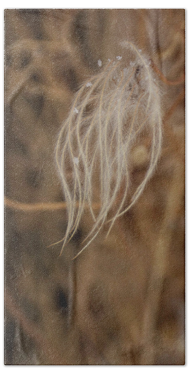 Clematis Hand Towel featuring the photograph Wind swept by Ellery Russell