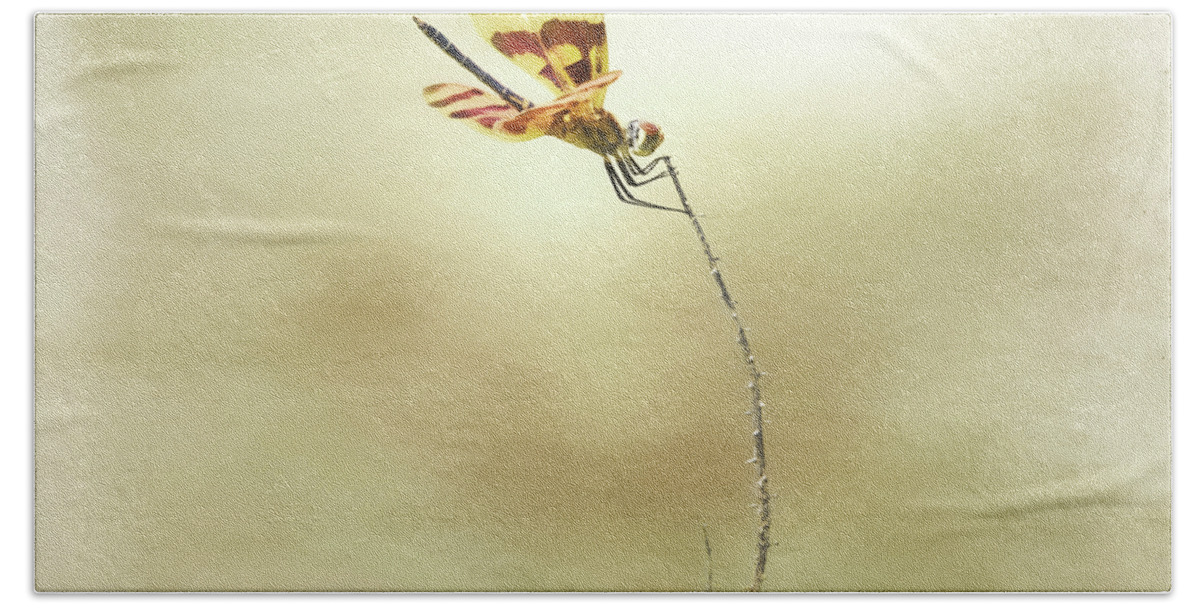 Dragonfly Bath Towel featuring the photograph Windblown by Steven Michael