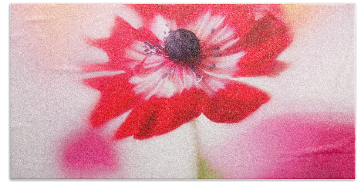 Flower Bath Towel featuring the photograph Windflower in spring by Usha Peddamatham